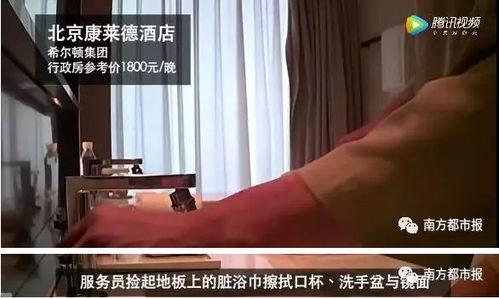 各大餐厅爆料视频播放大全,揭秘美食背后的秘密与故事 第2张 各大餐厅爆料视频播放大全,揭秘美食背后的秘密与故事 第2张