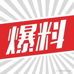 热卖爆料视频大全,热门产品背后的秘密大揭秘  第3张